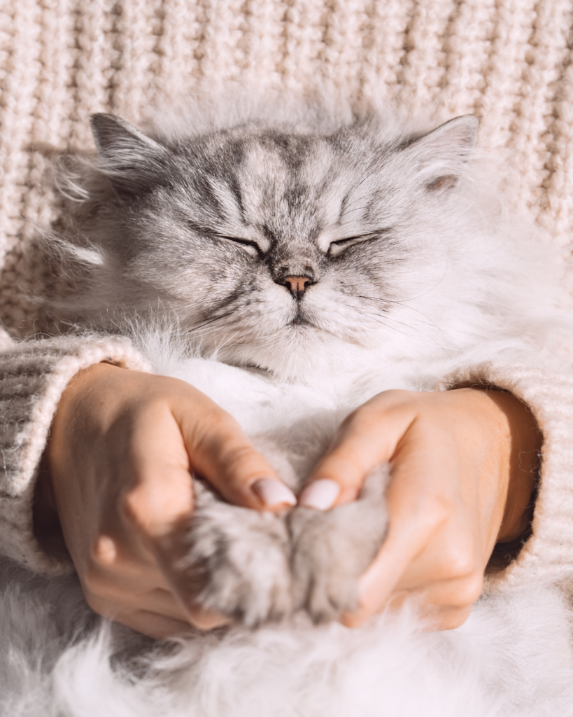 _(Instagram Post (45) (14)